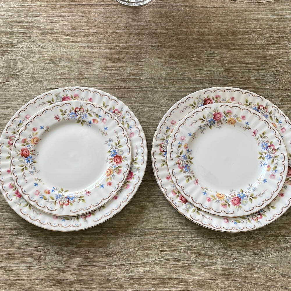 Royal Albert jubilee rose